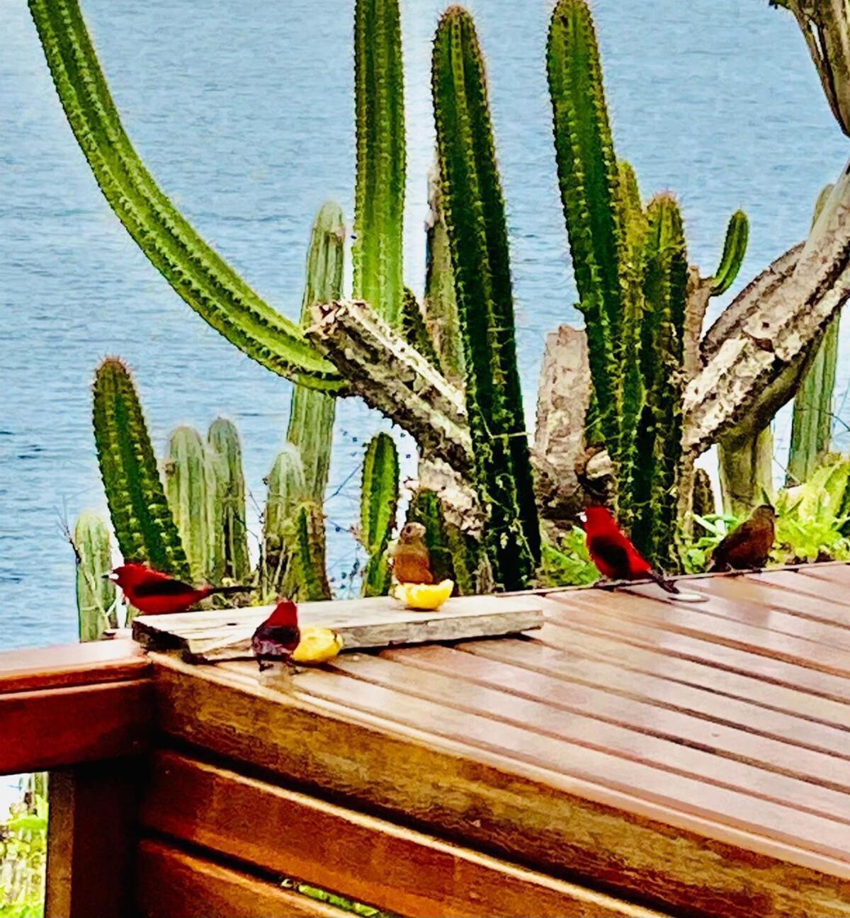 Larraial Holiday home *